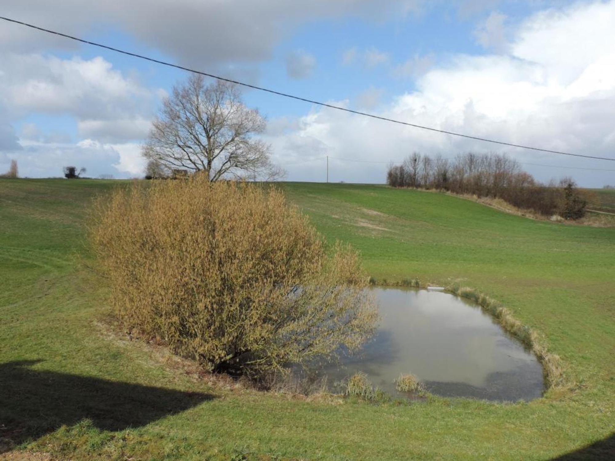 Gîte Mauves-sur-Huisne, 6 pièces, 12 personnes - FR-1-497-109 Extérieur photo
